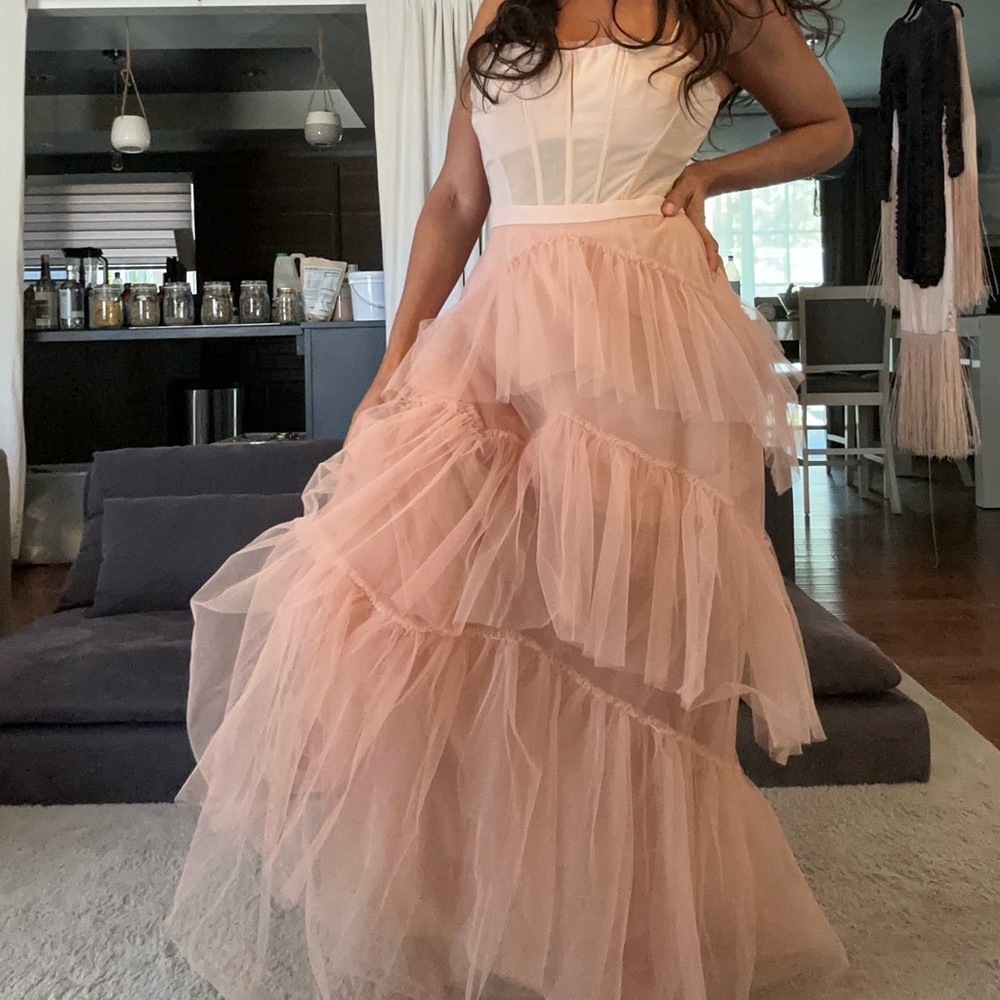 BCBGMaxAzria Blush Tulle Dress